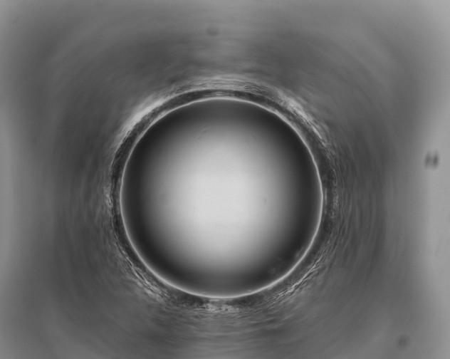 X0000096151312200801251055