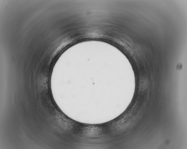 X0000096151314200801251055