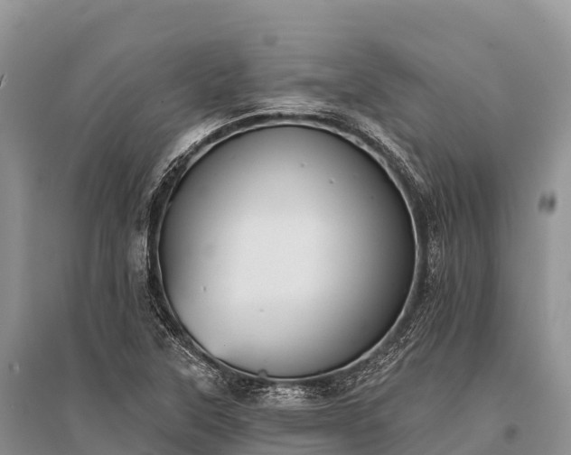 X0000096151315200801251055