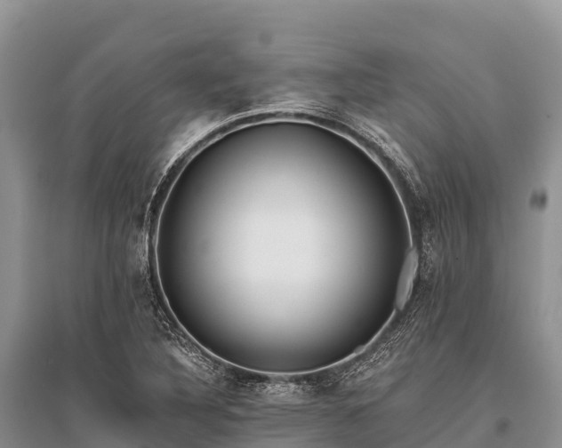 X0000096151316200801251055