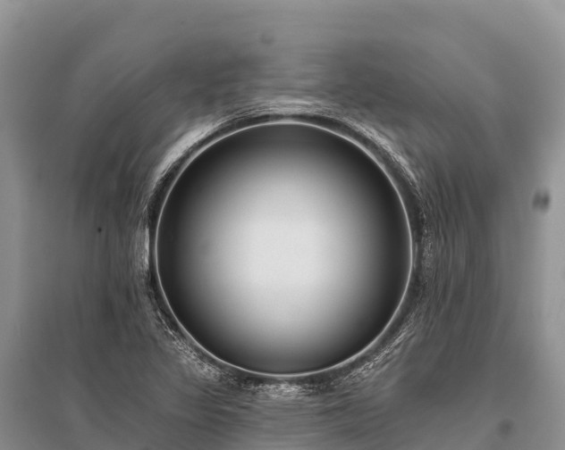X0000096151317200801251055