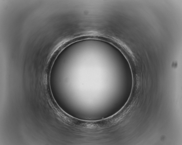 X0000096151318200801251055