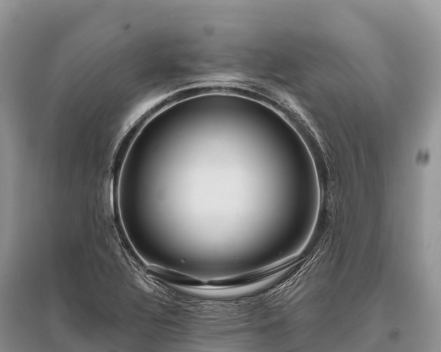 X0000096151320200801251055