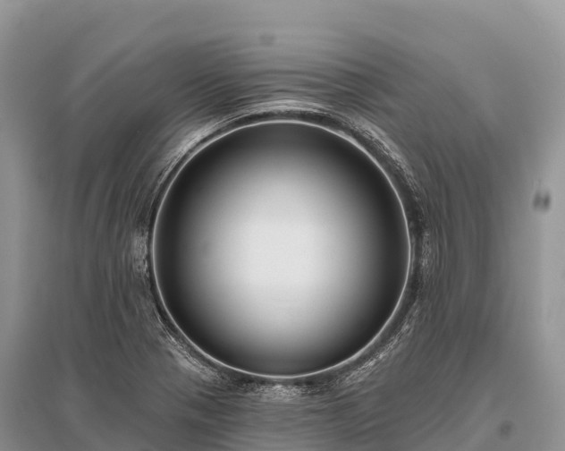 X0000096151321200801251055