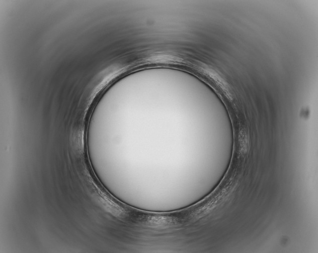 X0000096151322200801251055