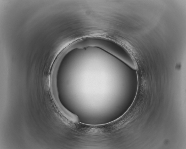 X0000096151324200801251056