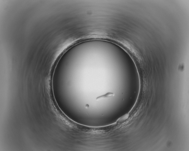 X0000096151325200801251056