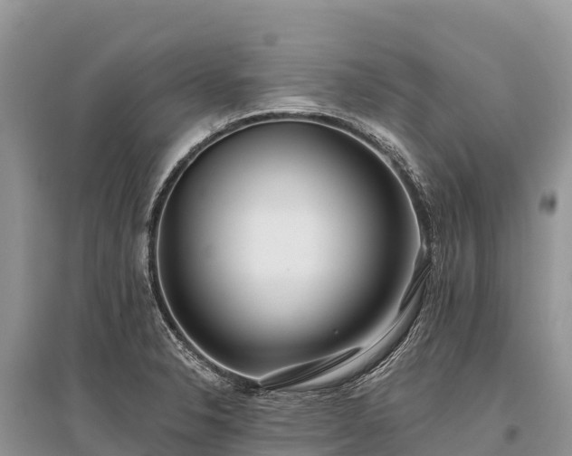 X0000096151326200801251056