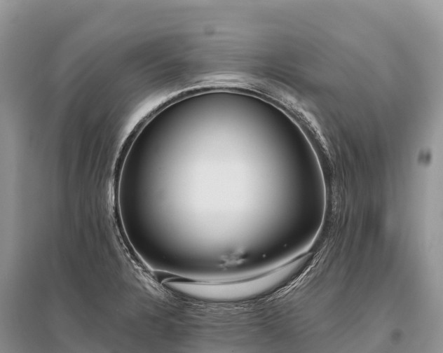X0000096151328200801251056