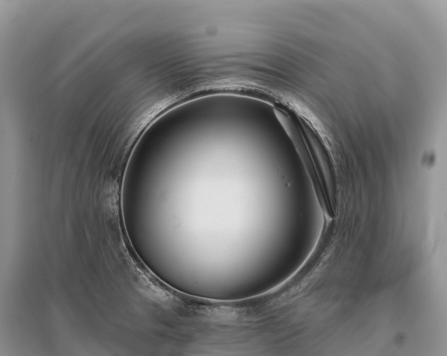 X0000096151329200801251056