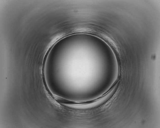 X0000096151330200801251056