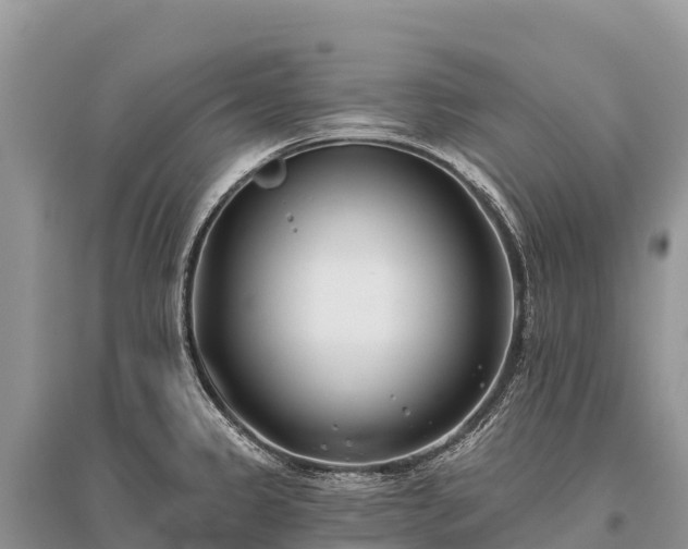 X0000096151333200801251056