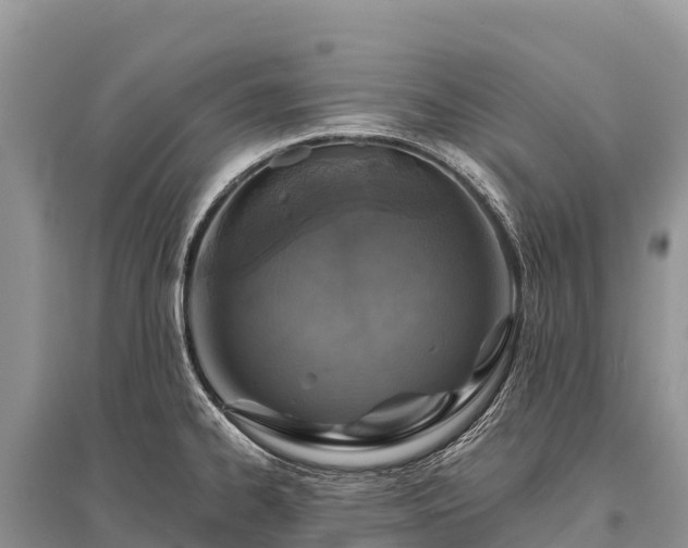 X0000096151334200801251056