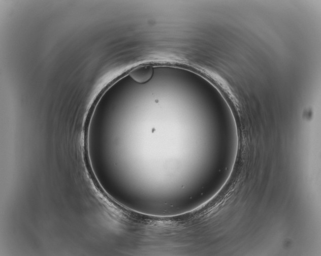 X0000096151335200801251056