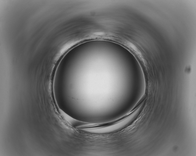X0000096151336200801251056