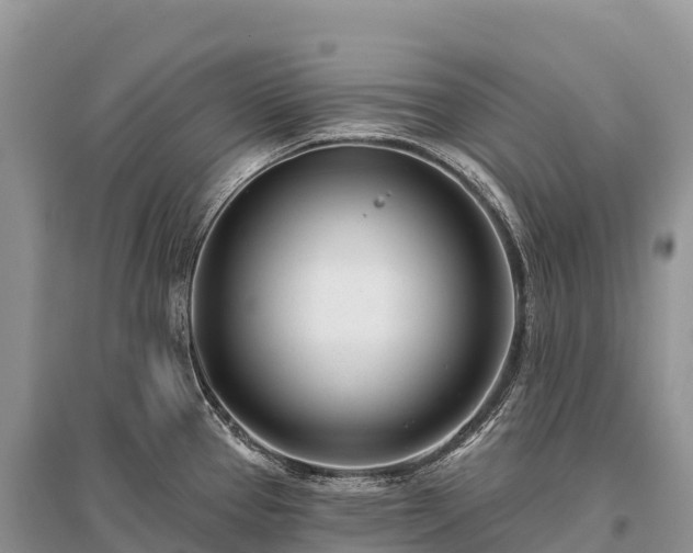X0000096151337200801251056