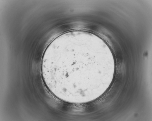 X0000096151338200801251056