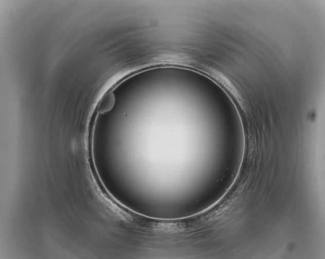 X0000096151339200801251056