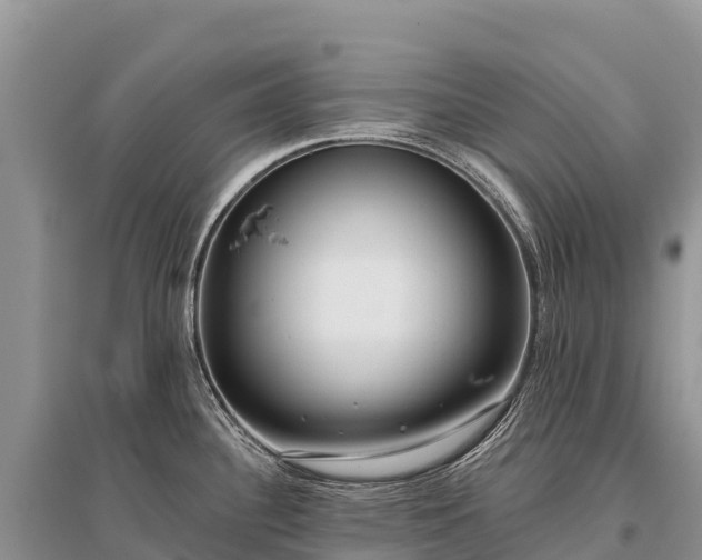 X0000096151340200801251056