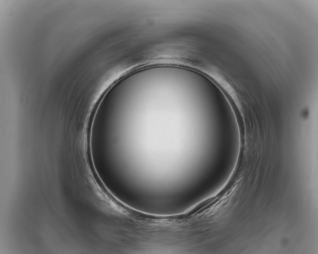 X0000096151341200801251056