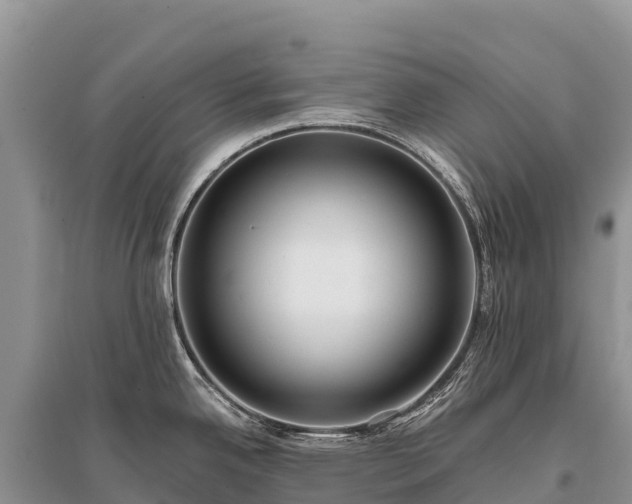 X0000096151342200801251056