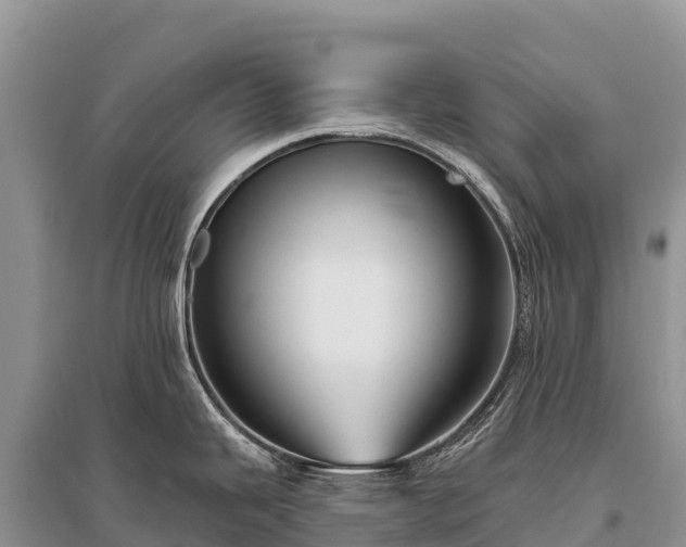 X0000096151343200801251056