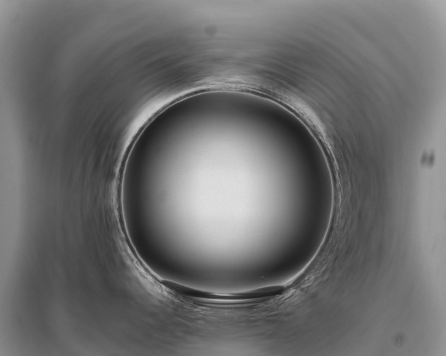 X0000096151344200801251056
