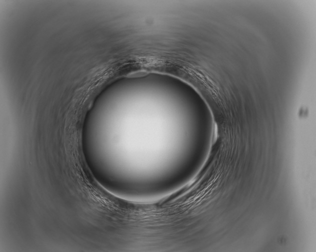 X0000096151345200801251055