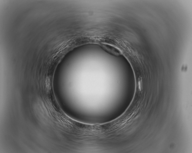 X0000096151347200801251055