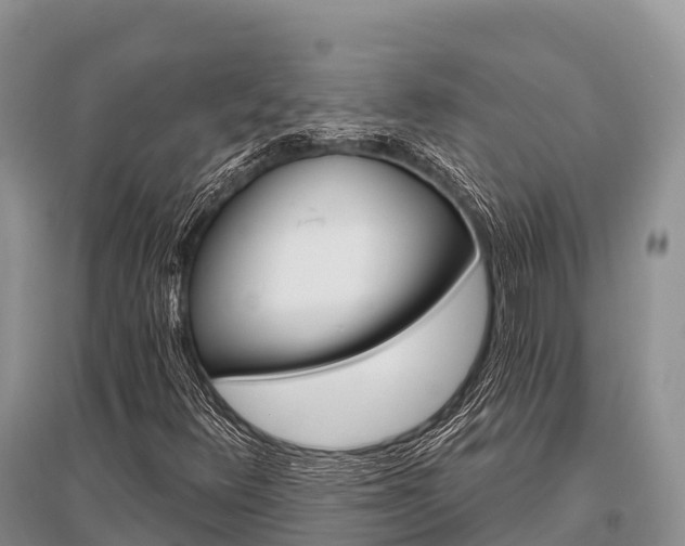 X0000096151348200801251055