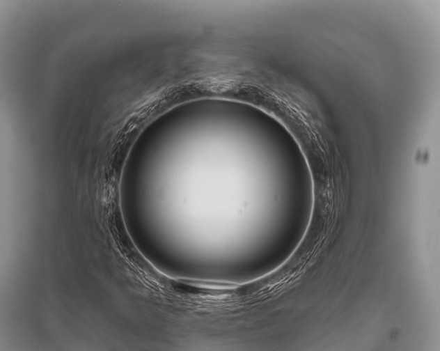 X0000096151349200801251055