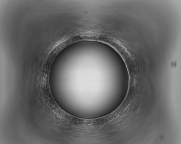 X0000096151350200801251055