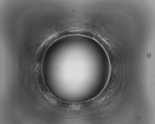X0000096151351200801251055