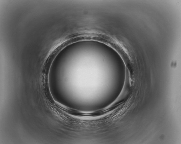 X0000096151352200801251055
