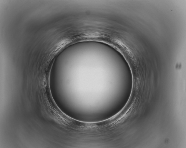 X0000096151353200801251055