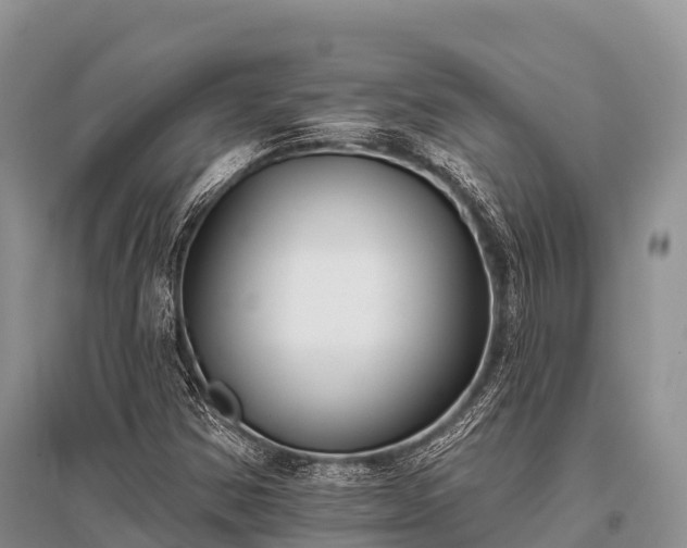 X0000096151354200801251055