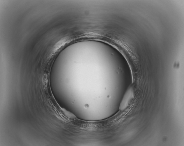 X0000096151355200801251055