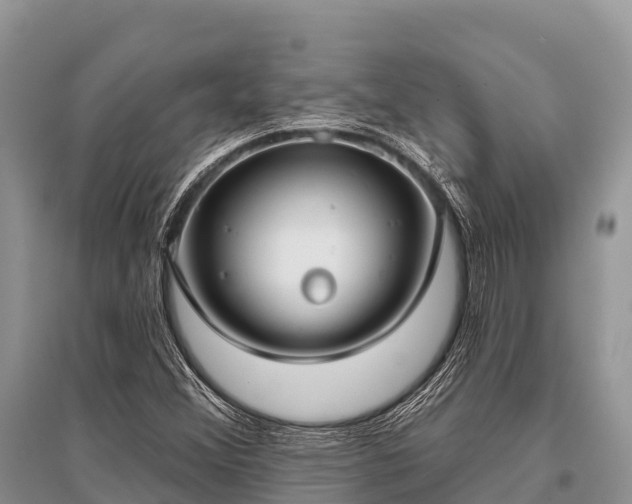 X0000096151356200801251055