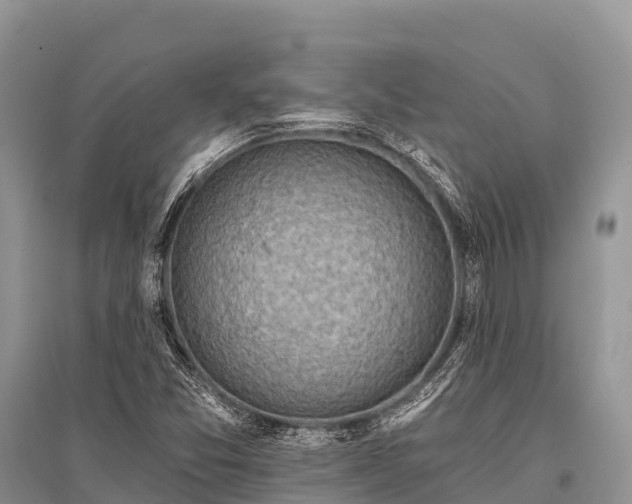X0000096151357200801251055