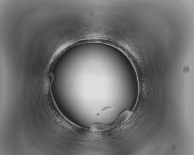 X0000096151358200801251055
