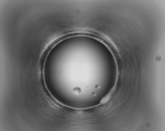 X0000096151360200801251055