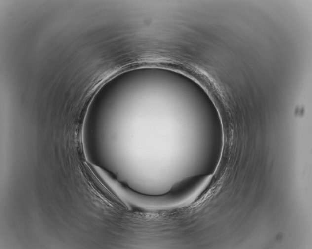 X0000096151361200801251055
