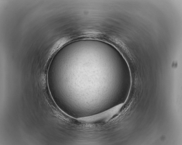X0000096151362200801251055