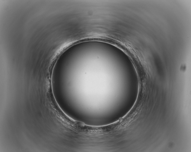 X0000096151363200801251055