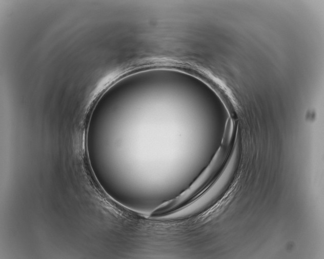X0000096151365200801251055