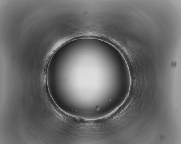 X0000096151367200801251055