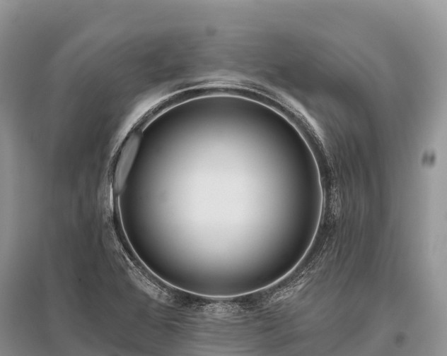 X0000096151368200801251055