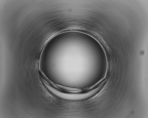 X0000096151369200801251055