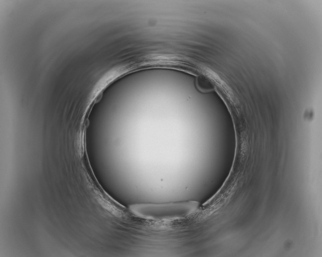 X0000096151370200801251055
