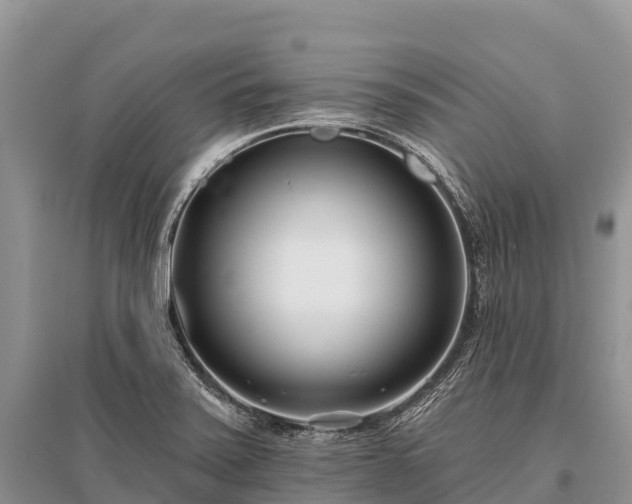X0000096151371200801251055